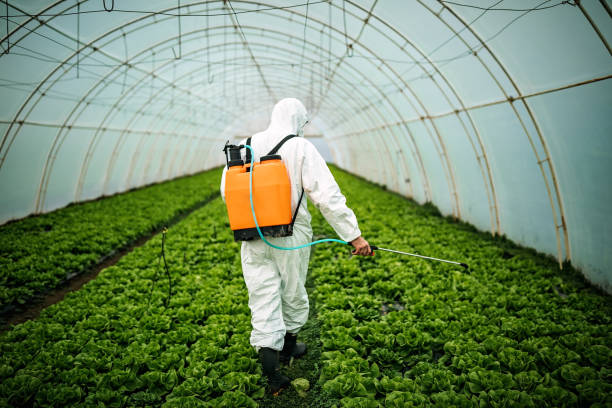 Best Mosquito Control Services  in Ackerman, MS