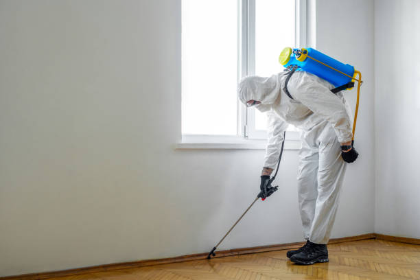 Best Insect Control  in Ackerman, MS