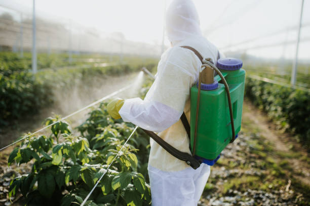 Best Cockroach Control Services  in Ackerman, MS
